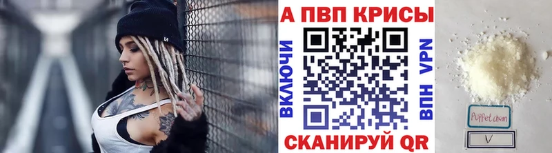 A PVP СК КРИС  Ивангород 